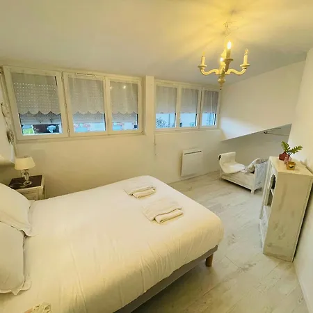 Magnifique Maison Dartiste La Maison Aerts Vila Remeš