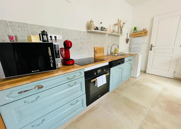 Magnifique Maison Dartiste La Maison Aerts * ריימס